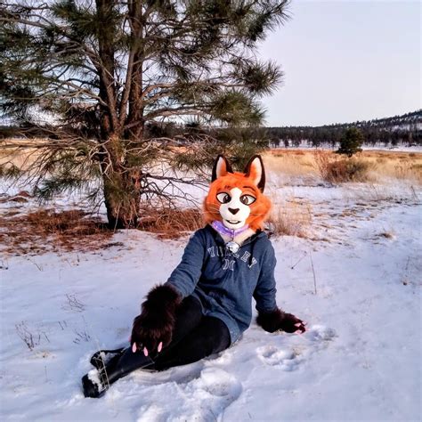 sexy fursuit|r/fursuits